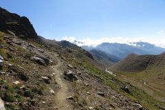 IMG_0126