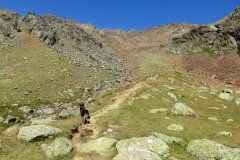 IMG_0130