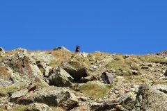IMG_0142