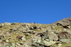 IMG_0144