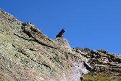 IMG_0151