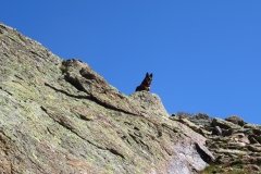 IMG_0152