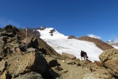 IMG_0184