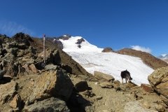 IMG_0185