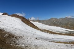 IMG_0198