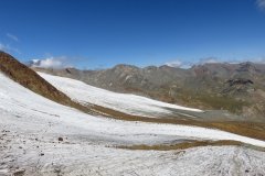 IMG_0209