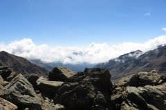 IMG_0215