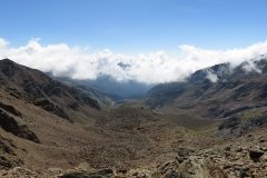 IMG_0221