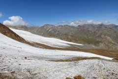 IMG_0228