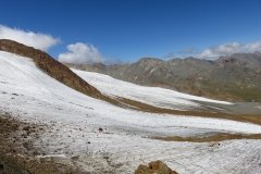 IMG_0234
