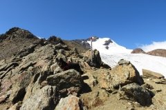 IMG_0237
