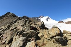 IMG_0238