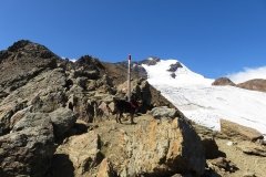 IMG_0239