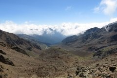 IMG_0242