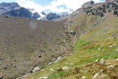 IMG_0253
