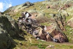 IMG_0264