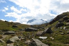 IMG_0290