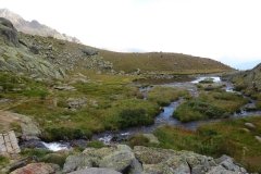 IMG_0307