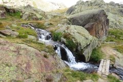 IMG_0310