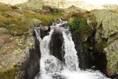 IMG_0312