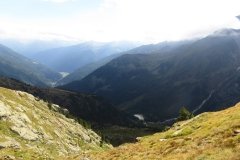 IMG_0342