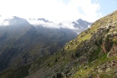 IMG_0354
