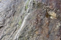 IMG_0356