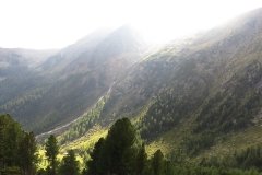 IMG_0364