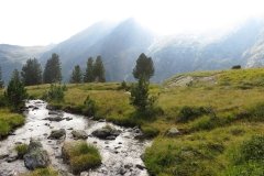 IMG_0368