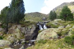 IMG_0369