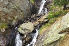 IMG_0372