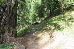 IMG_0002