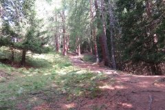 IMG_0007