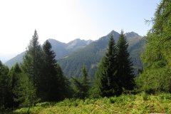 IMG_0008