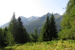 IMG_0010