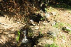 IMG_0013
