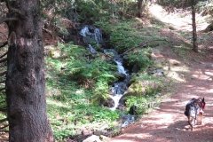 IMG_0018