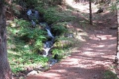 IMG_0020