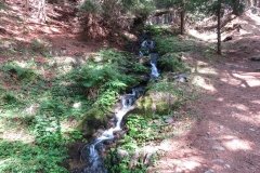 IMG_0022