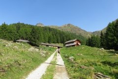 IMG_0024