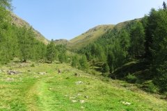 IMG_0028