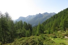 IMG_0037