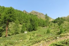 IMG_0038