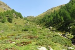 IMG_0047