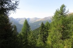 IMG_0050
