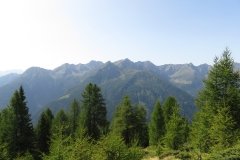 IMG_0052
