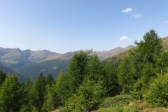IMG_0055