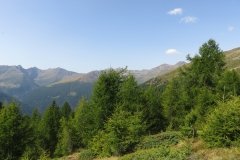 IMG_0057