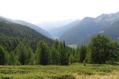 IMG_0059