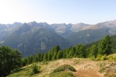 IMG_0062